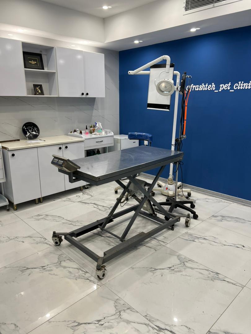 خدمات تخصصی جراحی و دندان‌پزشکی در کلینیک دامپزشکی دکتر افراشته