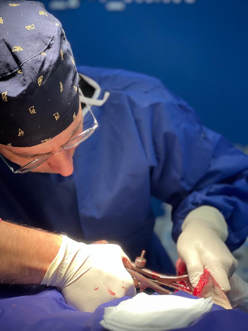 ویزیت‌های دوره‌ای