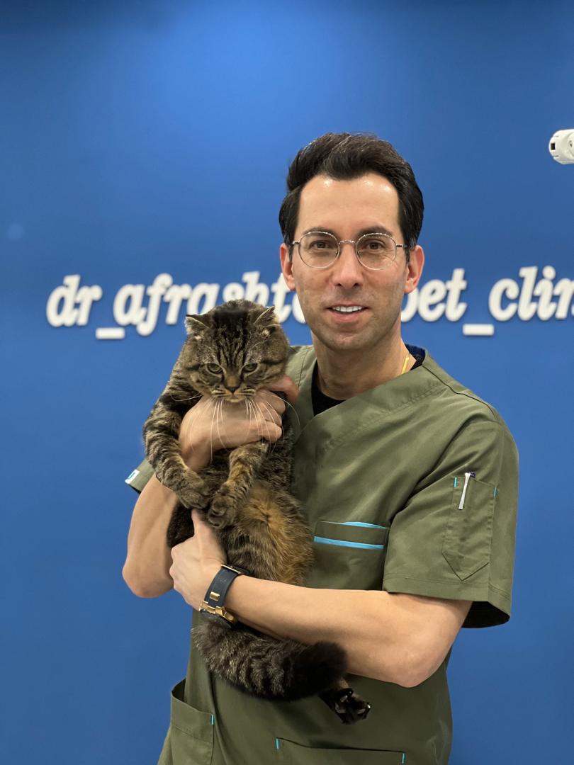 ارائه خدمات کامل و تخصصی